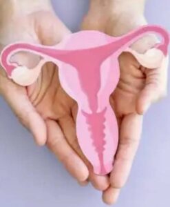 An image of a healthy Reproductive system